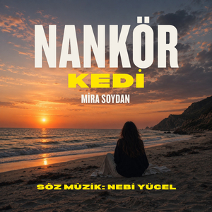 NANKÖR KEDİ