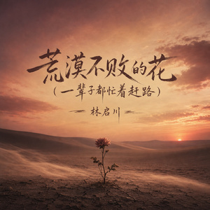 荒漠不败的花(一辈子都忙着赶路)