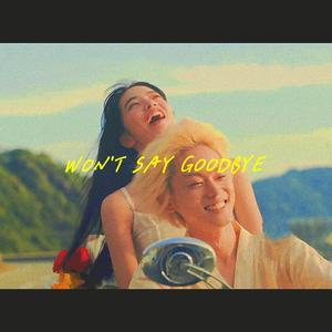 WON'T SAY GOODBYE (prod.jomei)