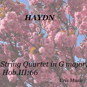 Haydn: String Quartet in G major, Hob.III:66: II. Minuetto - Trio