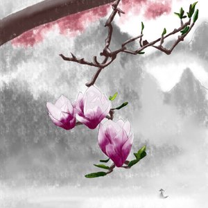 喧嚣的城市宁静的我