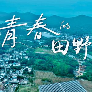 青春的田野（南京市江宁区乡村振兴志愿者主题曲）