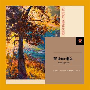 【Free】"梦中的婚礼" Piano Type Beat