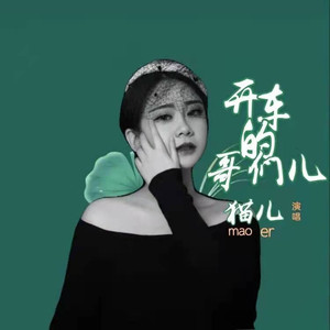 开车的哥们儿DJ (女生版)