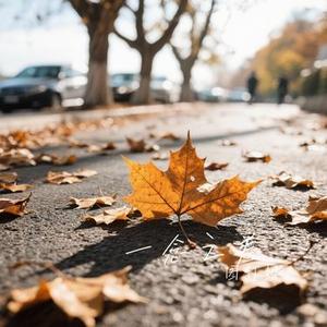 一念之差 (Cover pro)