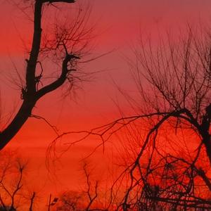 这次我们不谈春天——给ifyfy的歌