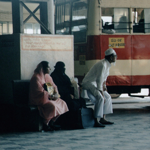 Openings Of Love (Fireworks)