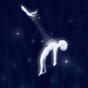 蜉蝣与白鸽