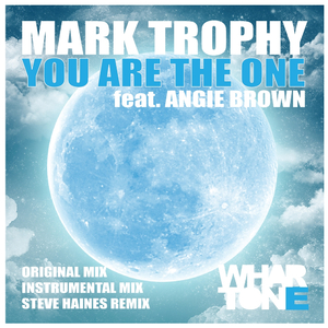 You Are The One (Steve Haines Remix)