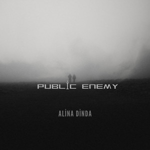 Public Enemy