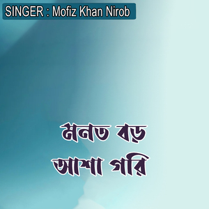 মনত বড় আশা গরি