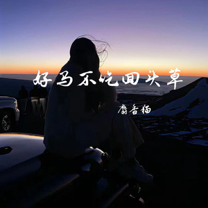 好马不吃回头草