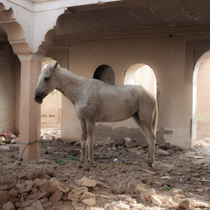 Angle Mort (feat. Maniaque Nocturne, Kemetik)