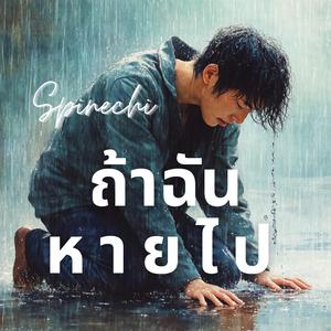 ถ้าฉันหายไป