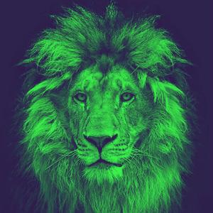 Narasimha (feat. Gal Greenberg)