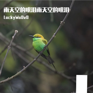 雨天空的眼泪