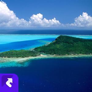 流行风暴 (现场)