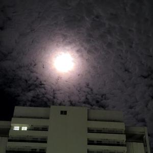 paraíso (feat. vaz2k, roxha! & KJR)