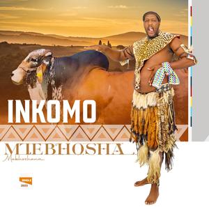 INKOMO (feat. Njencane)