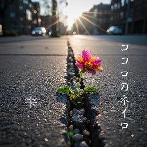 ココロのネイロ