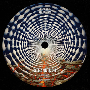 Burst a Groove (Original Mix)