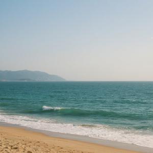 你从来没有爱过我