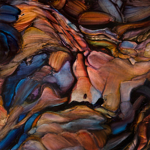 I’ll Be Waiting (Acoustic)