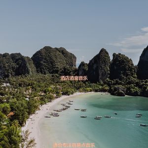 适合正在学习忧郁的音乐