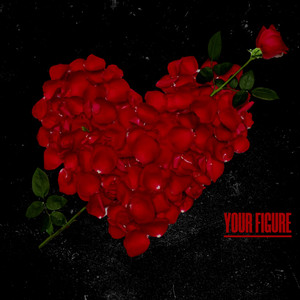 Your Figure