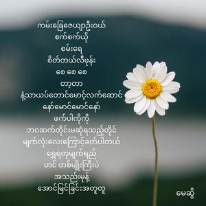 ဟင် တစ်မျိုးကြီးပဲ