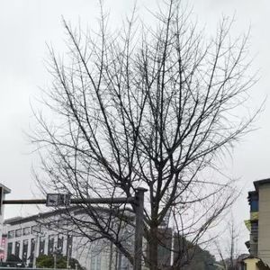 寒冬 Prod by BECU BEATZ