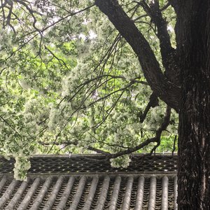 量子纠缠