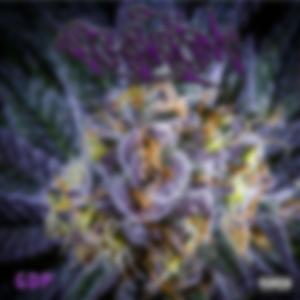 GDP (feat. Donovan Caleb)