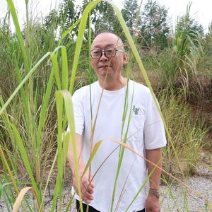 越过来世呼唤你