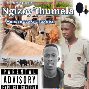 Ngizoyithumela