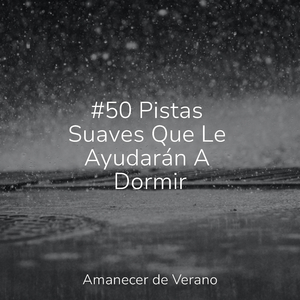 Serenata de Santuario Transitorio