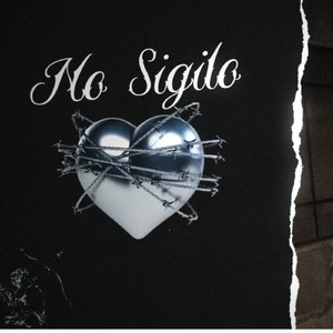 No Sigilo