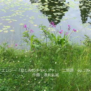 エレジー 「悲しみのチェリスト」