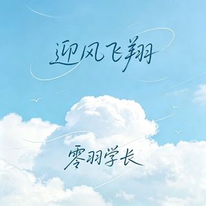 迎风飞翔