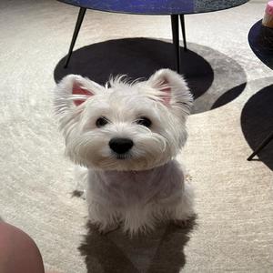 所有的好运都在路上