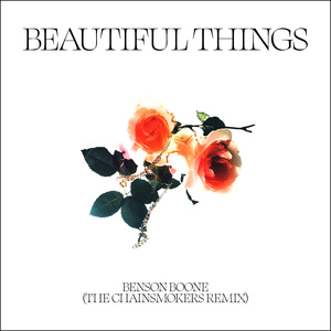Beautiful Things (The Chainsmokers Remix)