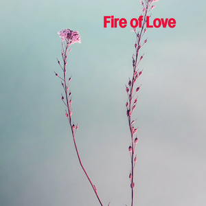 Fire of Love