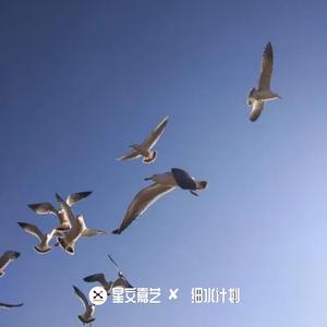 迷幻年华系列 第四十二期