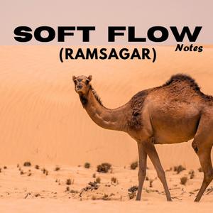 SOFT FLOW Notes