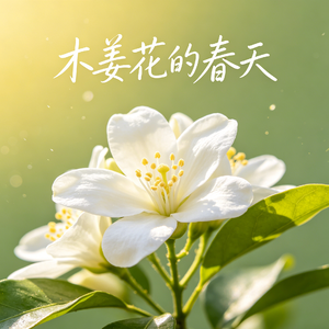《木姜花的春天》