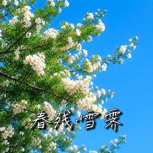春残·雪霁