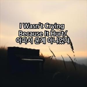 I Wasn't Crying Because It Hurt/ 아파서 운게 아니었다