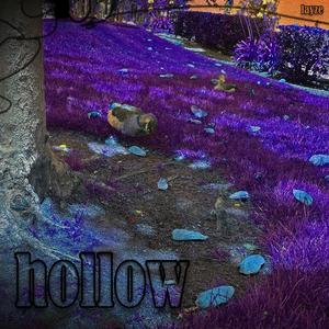 Hollow