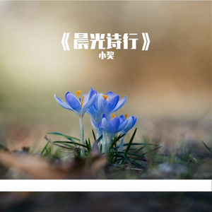 《晨光诗行》