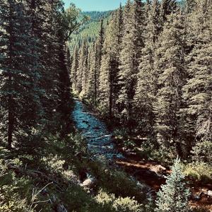 Insomnia (feat. Chris Bjornn)